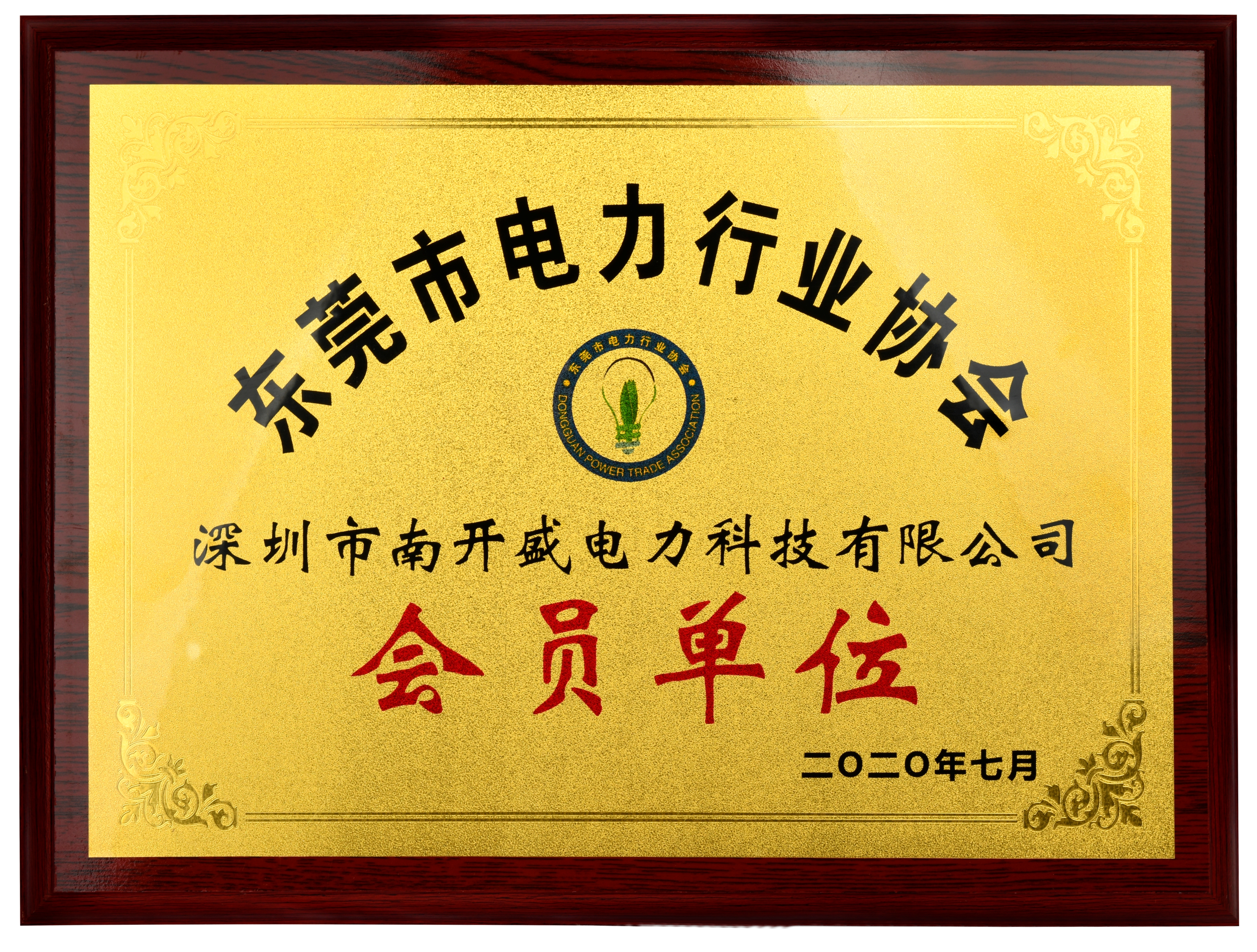 Member of Dongguan Electric Power Industry Association